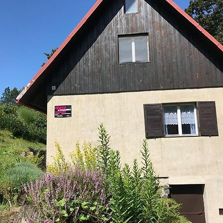 Chata U Koupaliste Chřibská エクステリア 写真